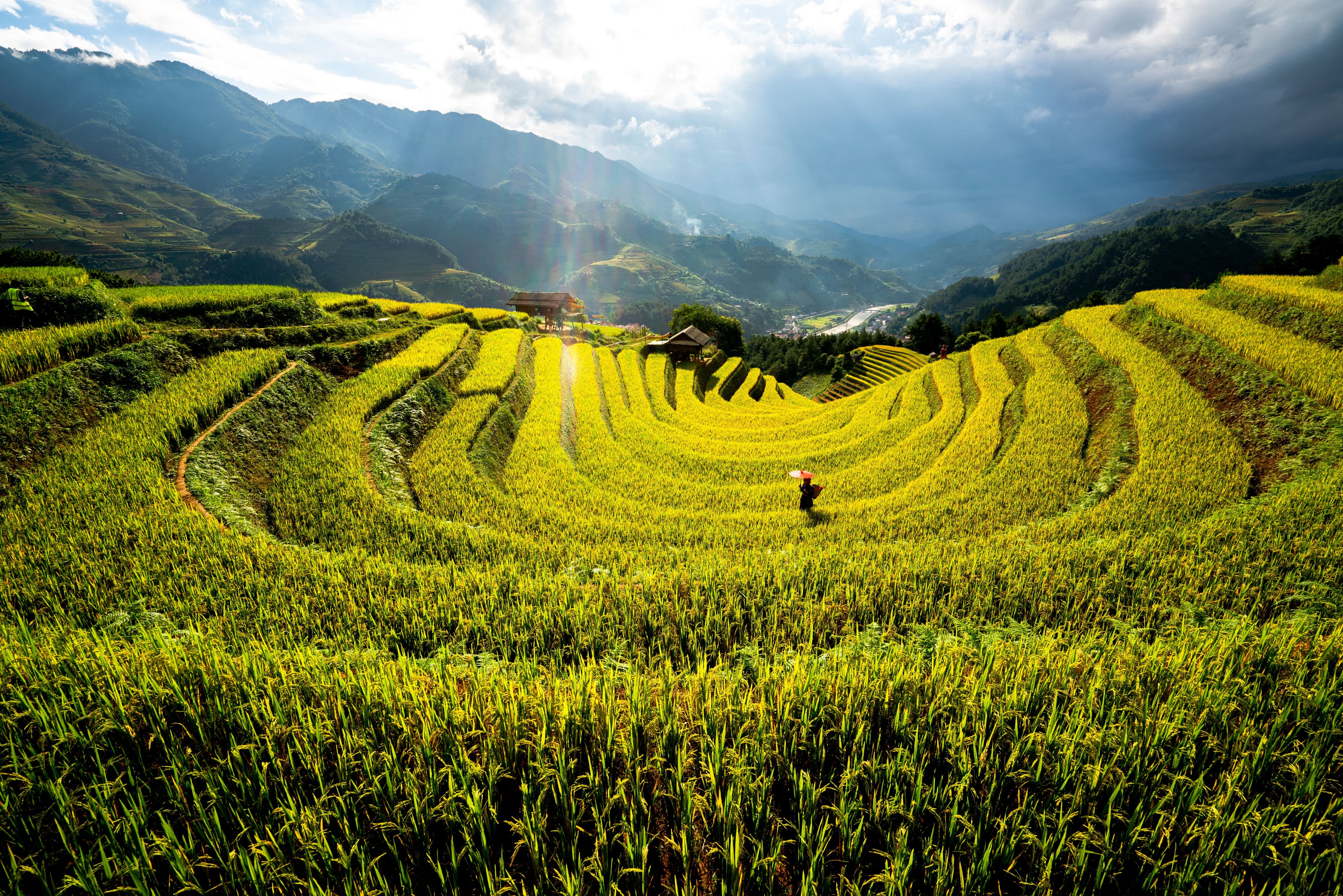 Mu Cang Chai Golden Season Photography Guide: Angles, Times & Gear