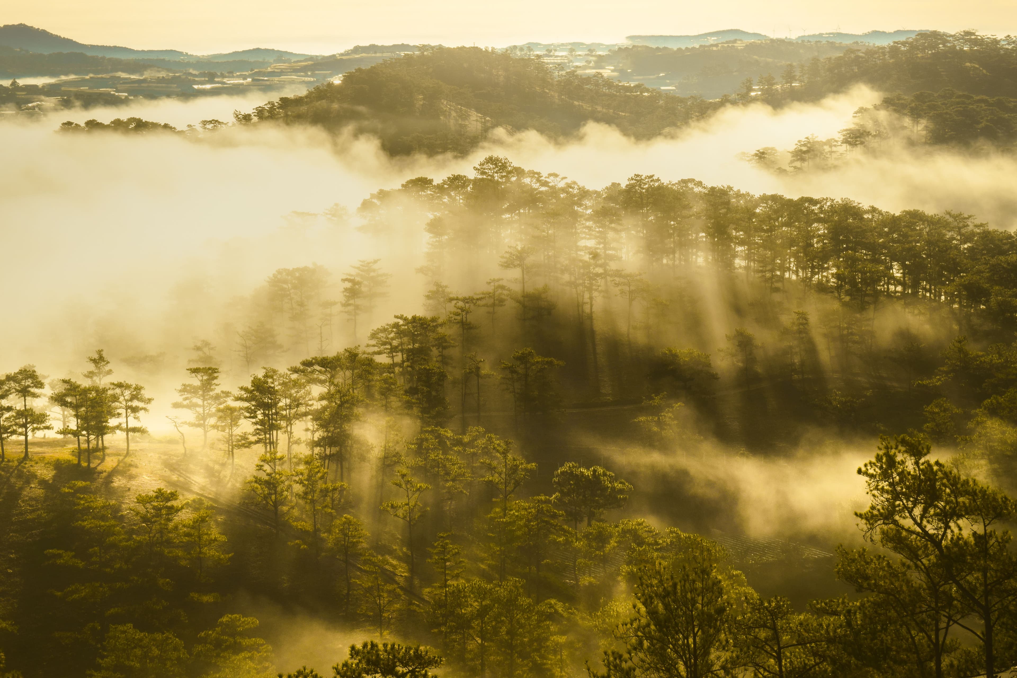 Da Lat Travel Guide: The Best Places to Visit, Eat, and Photograph